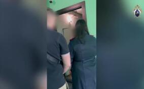 В Ленобласти будут судить организаторов незаконной миграции