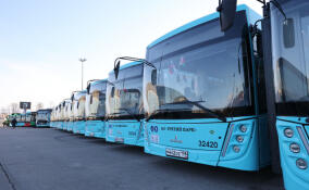 Более 50 тысяч пассажиров проехали на автобусе №154 в Петербурге