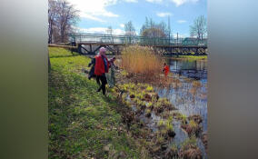 Ленинградцев зовут на уборку Староладожского канала