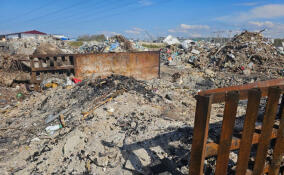 Госэконадзор помешал нарушителям в Низино сжигать строительный мусор