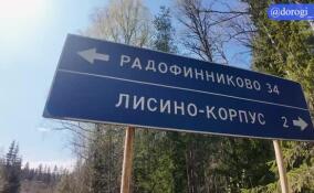 В Ленобласти начался ремонт дороги «Лисино-Корпус – Радофинниково»