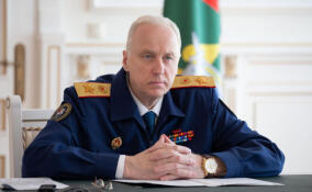 Глава СКР взял на контроль ситуацию с нарушением прав жильцов дома в поселке Новоселье