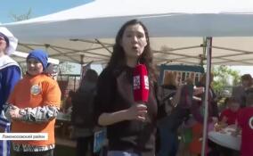 В Ломоносовском районе проходит фестиваль равных возможностей «Завтра лето» и фестиваль «День детства»