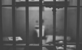 Жителя Всеволожска будут судить за убийство знакомого