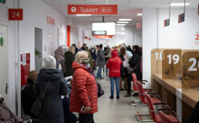 Более 100 услуг можно получить в МФЦ Ленобласти без паспорта