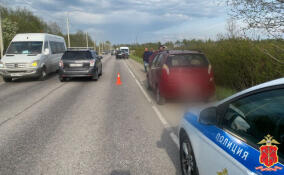 Водитель вышел на дорогу из припаркованного авто и погиб под колесами иномарки в Тосненском районе