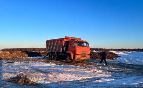 Госэконадзор через суд добивается ликвидации свалки в Новосергиевке
