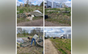 В Низино ликвидировали нелегальную свалку