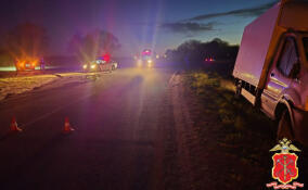 Грузовик насмерть сбил велосипедиста в Кингисеппском районе