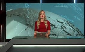 В Комитете по образованию Ленобласти провели эфир для выпускников школ