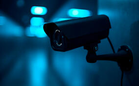 Видеофиксация сделала борьбу со свалками в Ленобласти эффективнее