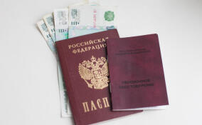 С 2026 года соцдоплаты к пенсии в Ленобласти и Петербурге начнёт назначать Социальный фонд