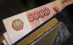 В Петербурге микрокредитным организациям пришлось заплатить почти 35 тысяч рублей за кредит, которого не было