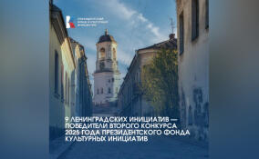 Проекты из Ленобласти получили президентские гранты более чем на 21 млн рублей