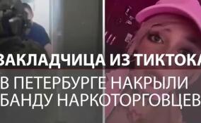 В петербургской квартире нашли сотни граммов запрещенных веществ