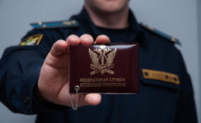 Реестр злостных неплательщиков алиментов будет включать 190 тыс. записей