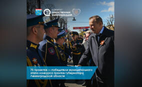 75 ленинградских проектов выиграли гранты губернатора