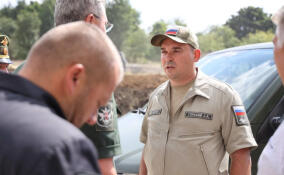 Расследование по делу Горского приостановили в связи с его уходом на СВО