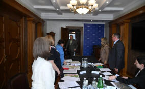 Губернатор поручил организовать комплексную защиту Сланцев от подтоплений