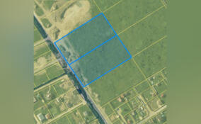 Ломоносовскому району передали 6 га земли для льготников