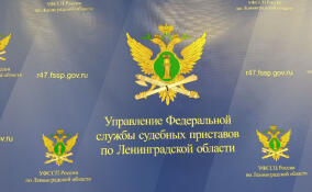 Злостные неплательщики алиментов из Ленобласти оказались в едином публичном реестре должников