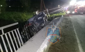 Спасатели извлекли погибшего водителя из упавшей с моста бетономешалки в Ленобласти