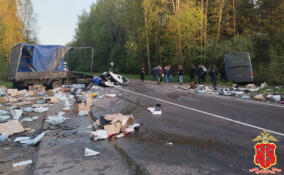 Уголовное дело завели на водителя иномарки после смертельного ДТП под Кингисеппом