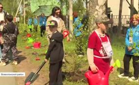 Семейный марафон БРИКС прошел во Всеволожске