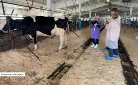 Региональный этап федерального конкурса «Лучший по профессии» прошел на площадке племзавода «Приневское»