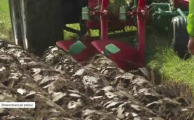 Во Всеволожском районе состоялся отбор сельскохозяйственных машин для Открытого чемпионата России по пахоте