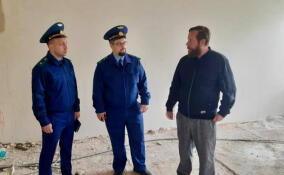 Прокуратура проверила капремонт школ в Приозерском районе