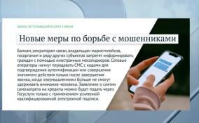 В июне вступают в силу важные законы, касающиеся безопасности и защиты граждан от кибермошенников