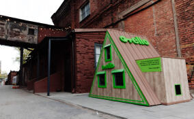 Тёплый дом для бездомных котов появился в «Севкабель Порту»