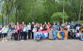 В Киришах подвели итоги соревнований по спортивному туризму на пешеходных дистанциях