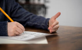 Более 11 тысяч девятиклассников Ленобласти сдали ОГЭ