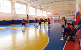 В Пушкине проходит чемпионат России по волейболу среди образовательных организаций ФСИН