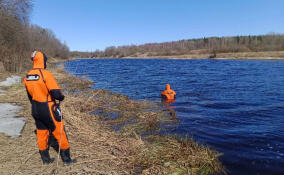 За неделю спасатели Ленобласти 6 раз работали на водоемах: два человека погибли, четверо пострадали