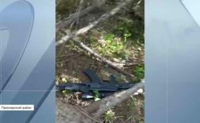 Боевые автомат и пистолет нашли в лесополосе близ поселка Сосново