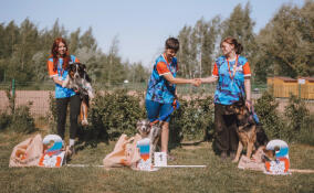 Ленинградские спортсмены успешно выступили на первенстве Северо-Запада по аджилити