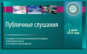 Публичные слушания по исполнению бюджета за 2024 год пройдут в Ленобласти 6 июня