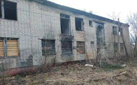 Территорию заброшенного детсада в деревне Бор закрыли для посторонних