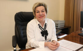 Депутат Марина Шишкина прокомментировала новые правила изъятия участков из-за захламления