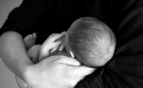 Под окнами дома в Дубровке оставили новорожденную девочку