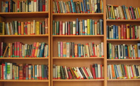 Названы самые популярные у петербуржцев произведения русской классики