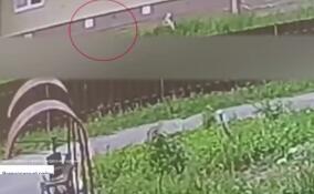 Полицейские пообщались с матерью младенца, которого нашли под окнами дома в Невской Дубровке