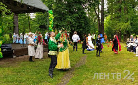 Во Всеволожском районе проходит фестиваль «В гостях у Олениных»