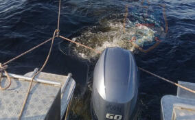 Четырех взрослых и ребенка эвакуировали с Ладожского озера у поселка имени Морозова