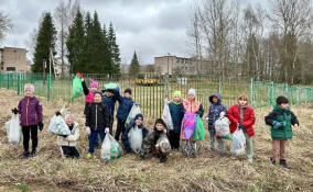 В Ленобласти на субботники за месяц вышли более 400 тысяч человек