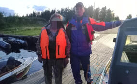 Спасатели и пожарные Ленобласти за неделю более сотни раз привлекались к работе