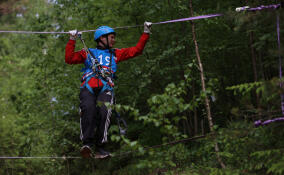 Во Всеволожском районе прошел областной фестиваль ГТО